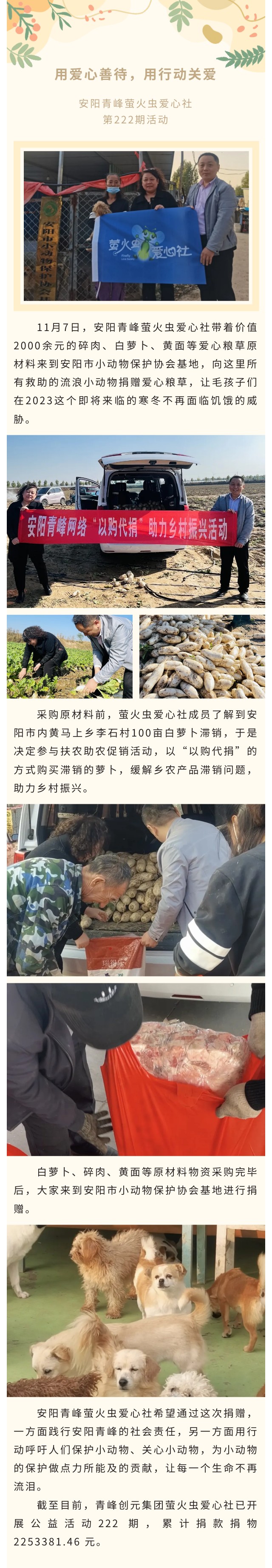 用爱心善待,用行动关爱--青峰创元集团萤火虫爱心活动第222期报道